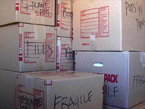 moving boxes