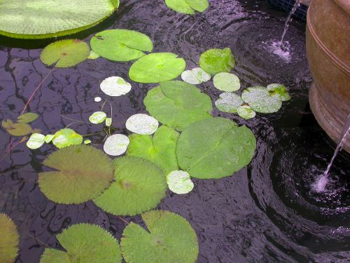 dscn7677