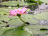 dscn7685